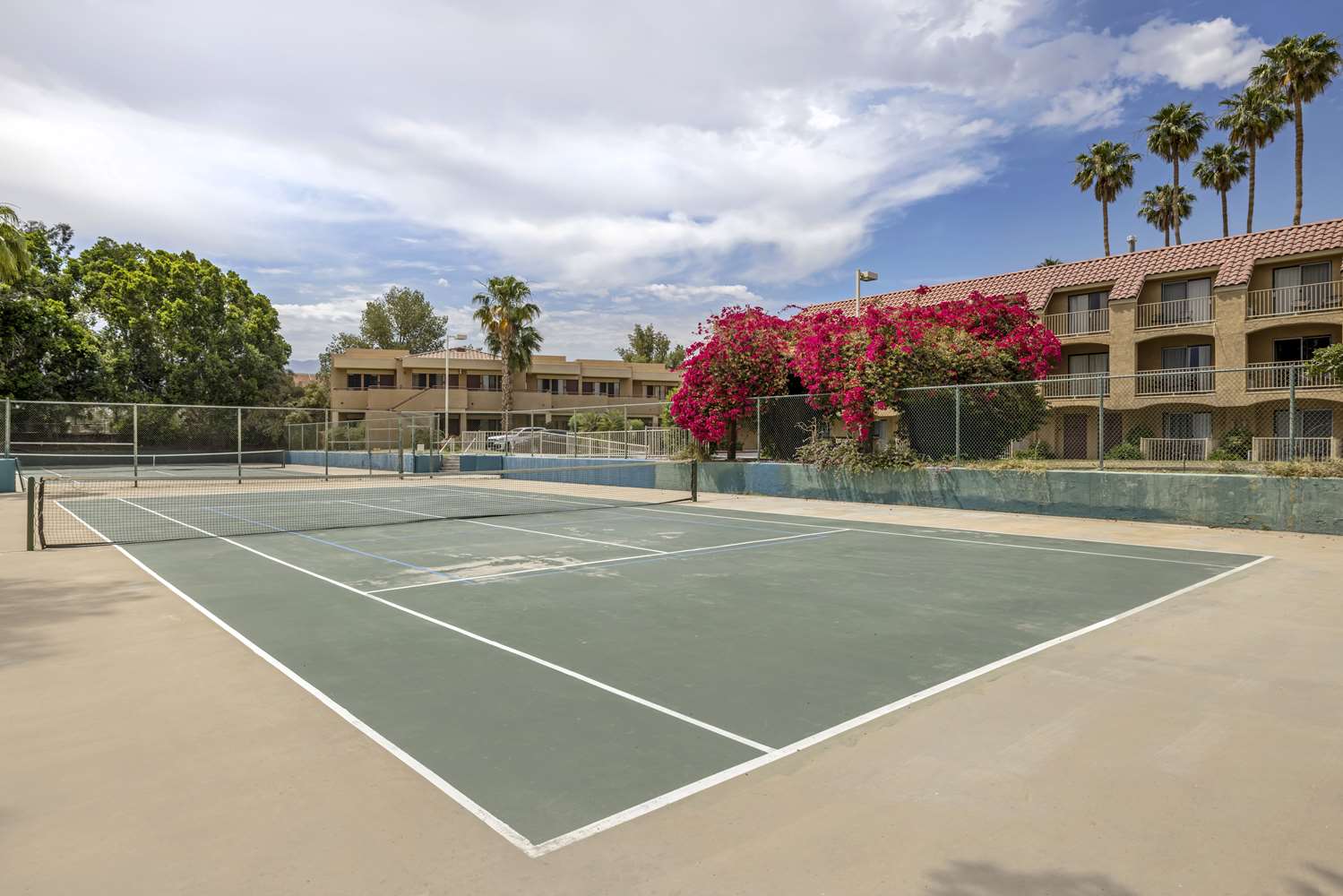 Does Pickleball Damage Tennis Courts: Uncover the Hidden Truth