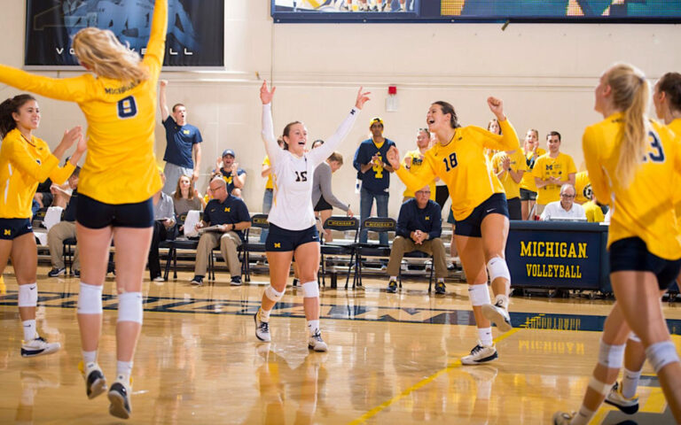 What Are The Pros And Cons Of Volleyball