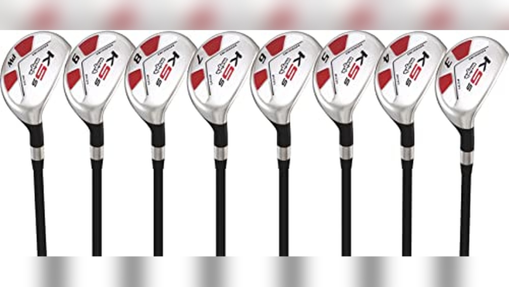 Best Hybrids For Seniors 2024